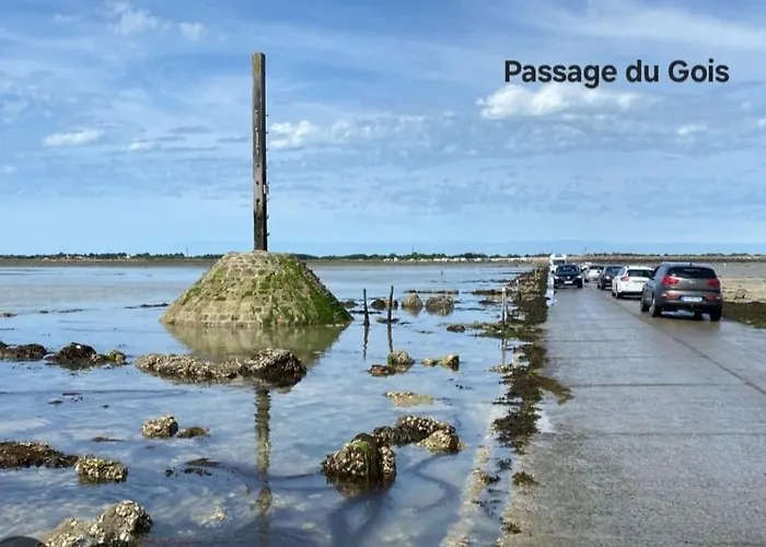 Plein Soleil סן ז'אן דה מון