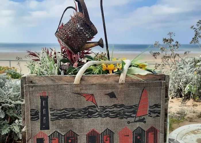 Plein Soleil * 생장드몽